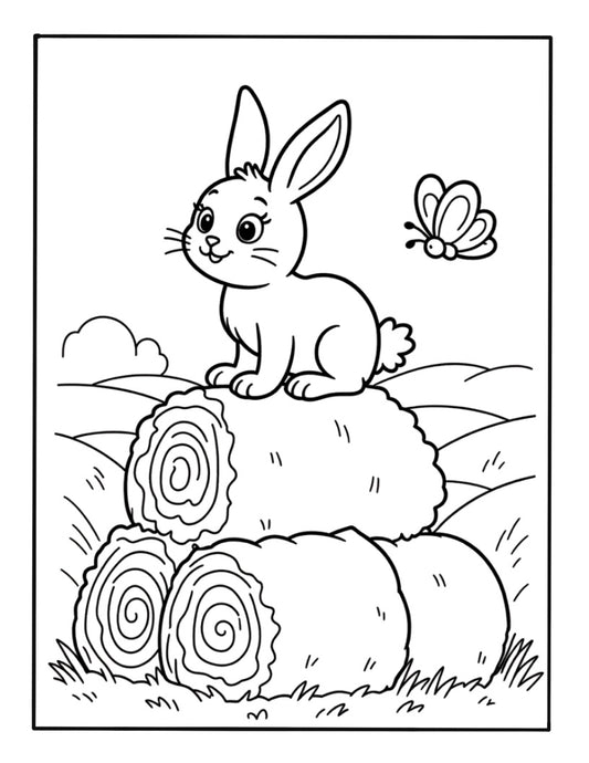 Farm Fun: Coloring Book